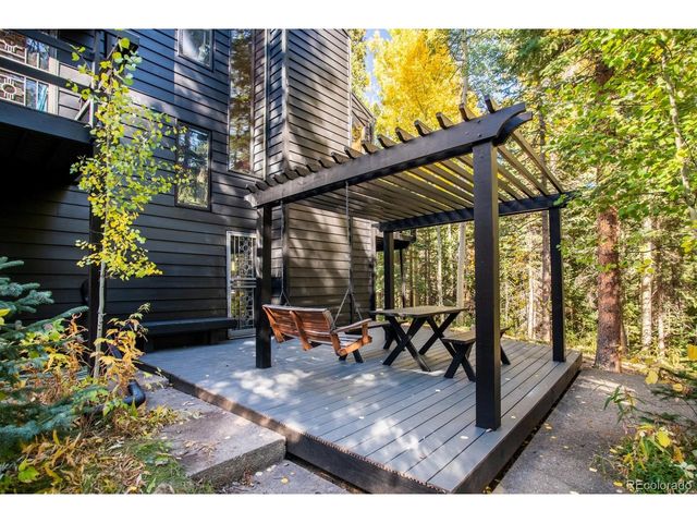 48 Moss Ln, Dumont, CO 80436