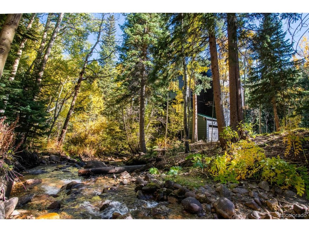 48 Moss Ln, Dumont, CO 80436