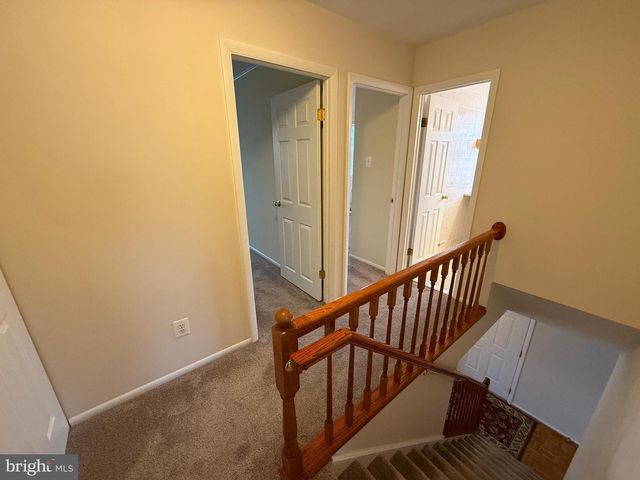 159 LARKSPUR ST, Philadelphia, PA 19116