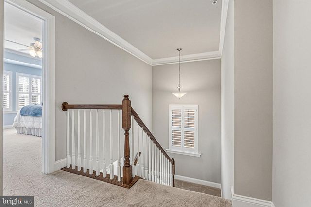 113 HARDING ST, Lutherville Timonium, MD 21093