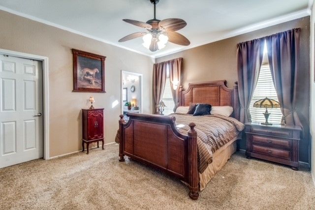 394 Emerald Glenn Lane, Pilot Point, TX 76258