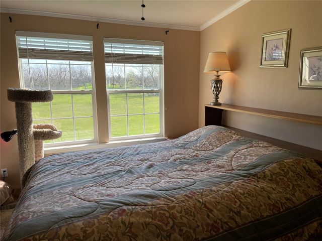 394 Emerald Glenn Lane, Pilot Point, TX 76258