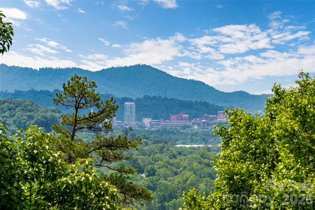 24 Audubon Drive, Asheville, NC 28804