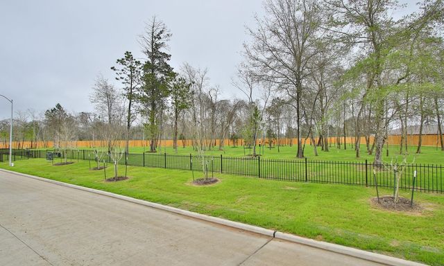 21015 Solstice Point Drive, Hockley, TX 77447
