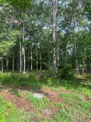 0 Lakewood Park Rd, Beechgrove, TN 37018