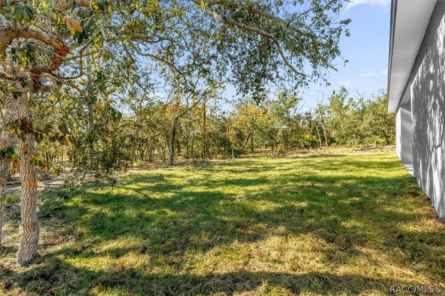 1718 W Manchester Drive, Citrus Springs, FL 34434