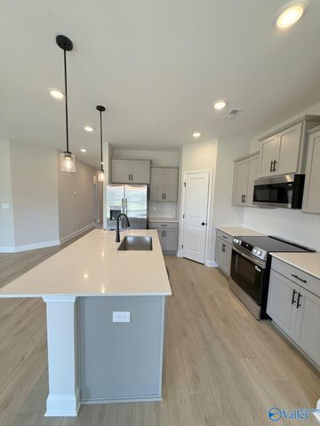 29406 Crawfish Drive, Harvest, AL 35749
