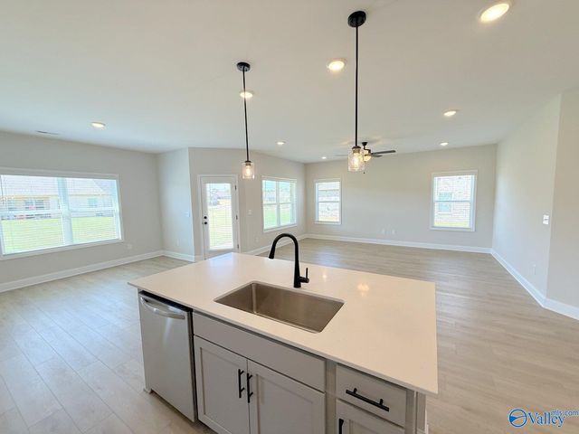 29406 Crawfish Drive, Harvest, AL 35749