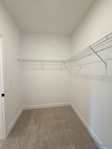 29406 Crawfish Drive, Harvest, AL 35749