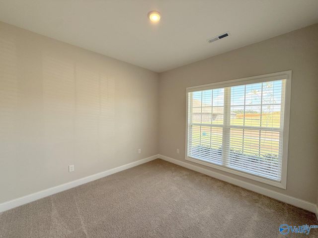 29406 Crawfish Drive, Harvest, AL 35749