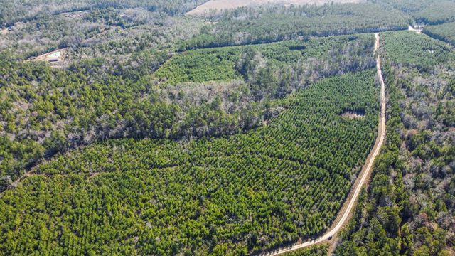 TBD 942 East, Camden, TX 75934