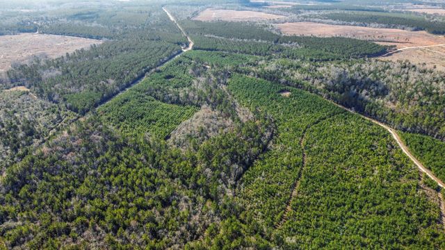 TBD 942 East, Camden, TX 75934