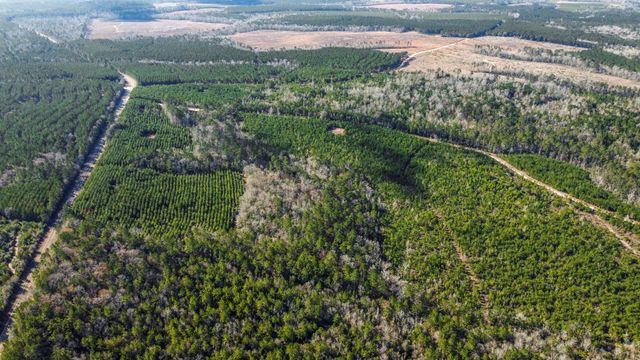 TBD 942 East, Camden, TX 75934