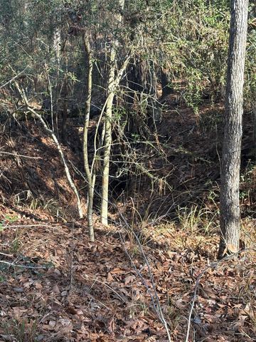 TBD 942 East, Camden, TX 75934