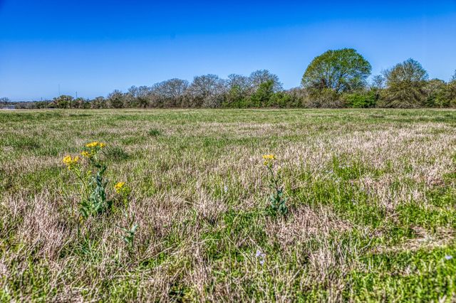 TBD Schuster Road, Round Top, TX 78954