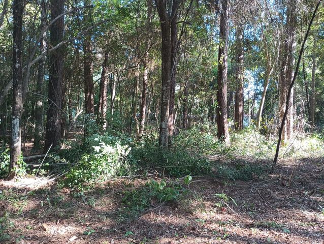 0 Wickford And Little John, Ivanhoe, TX 75447