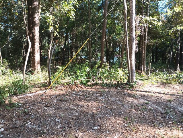 0 Wickford And Little John, Ivanhoe, TX 75447