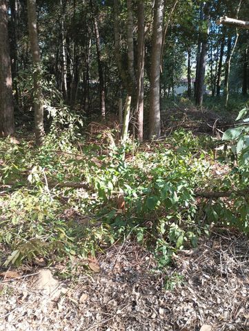 0 Wickford And Little John, Ivanhoe, TX 75447