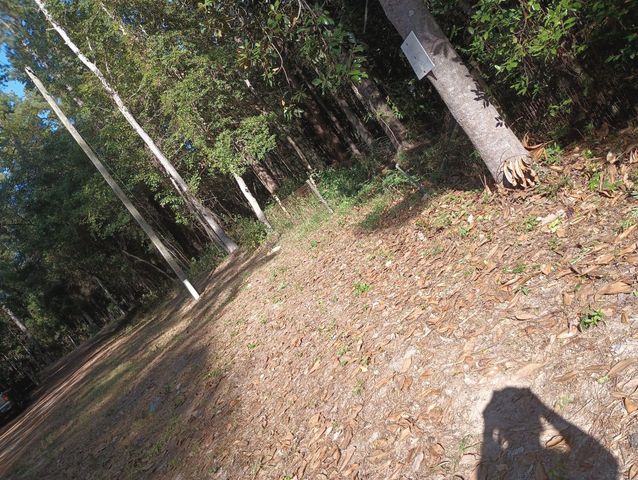 0 Wickford And Little John, Ivanhoe, TX 75447