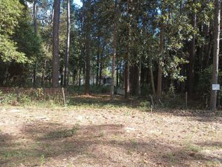 0 Wickford And Little John, Ivanhoe, TX 75447