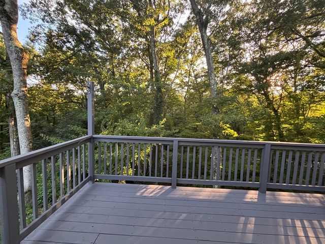 62 Piehl Ave, Worcester, MA 01606