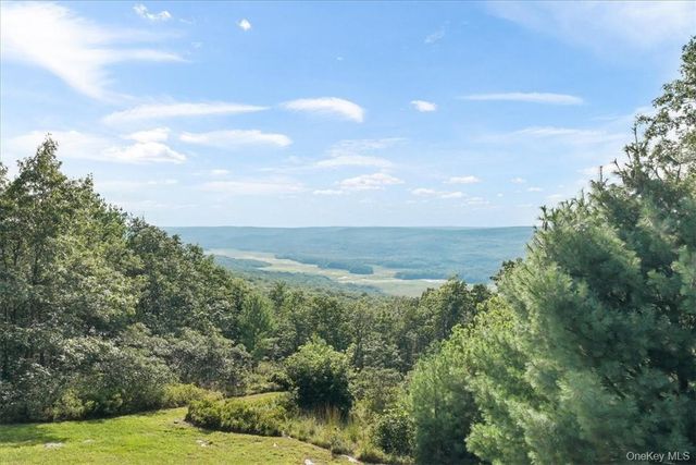 96 Treetops Trail, Bloomingburg, NY 12721