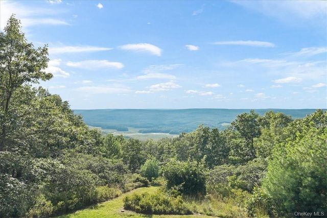 96 Treetops Trail, Bloomingburg, NY 12721
