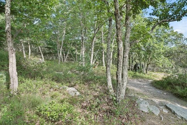 96 Treetops Trail, Bloomingburg, NY 12721