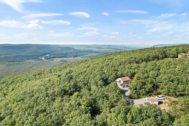 96 Treetops Trail, Bloomingburg, NY 12721