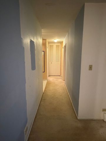 1475 Rebecca Drive 213, Hoffman Estates, IL 60169