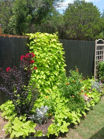 1136 Ridgeview Circle, Granbury, TX 76048