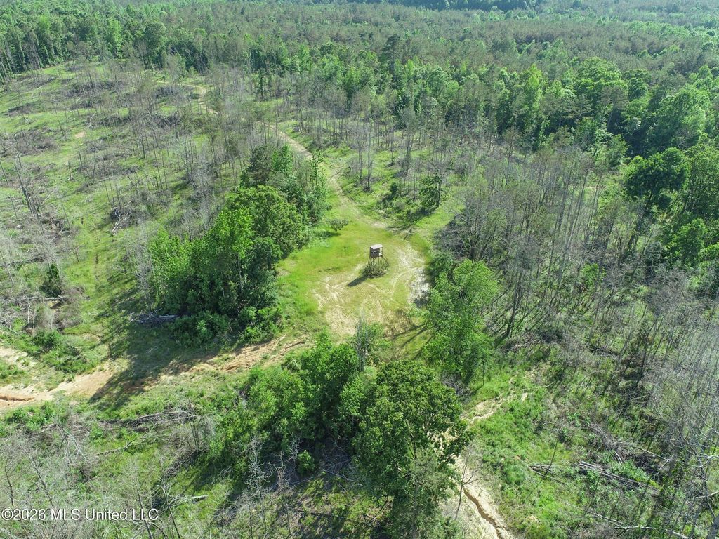 Wayne Massie Road, Como, MS 38619 — exterior