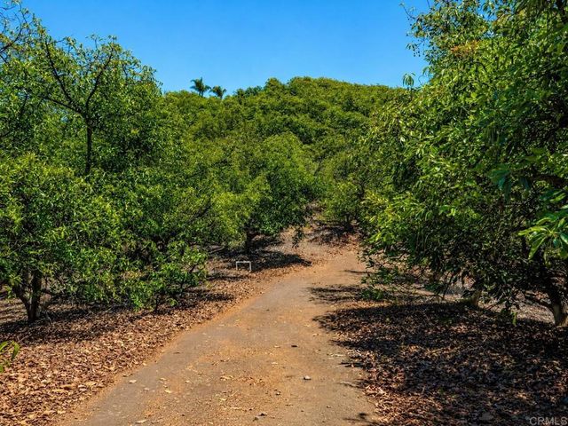1 Palamino Circle, Temecula, CA 92590