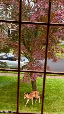 5 Beechwood Dr, Roxbury Twp., NJ 07876