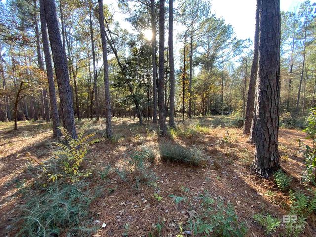 10 Drinkard Road, Bay Minette, AL 36507