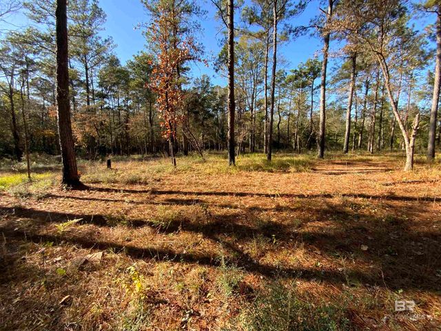10 Drinkard Road, Bay Minette, AL 36507