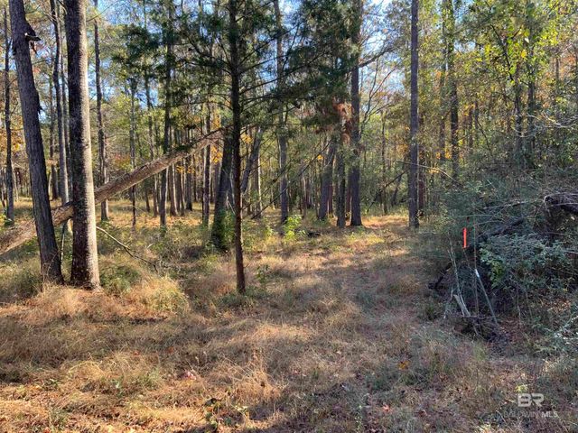 10 Drinkard Road, Bay Minette, AL 36507