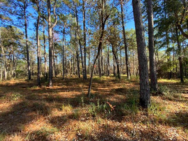 10 Drinkard Road, Bay Minette, AL 36507