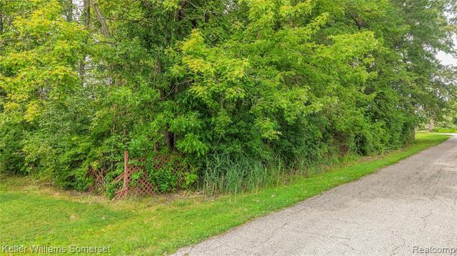 259 William Street, Harsens Island, MI 48028