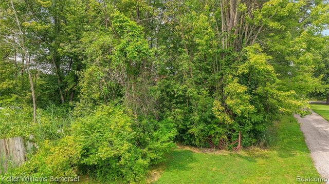 259 William Street, Harsens Island, MI 48028