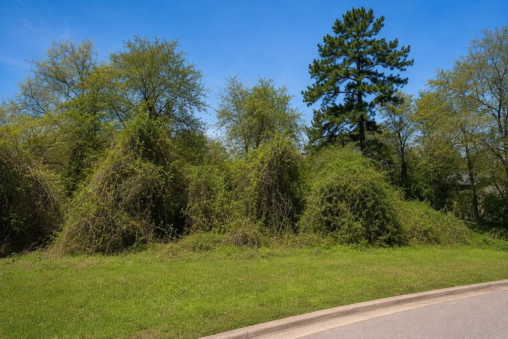 3107 Canterbury Lane, Montgomery, TX 77356