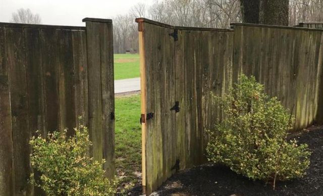 1822 McDonald Avenue, Lexington, KY 40503