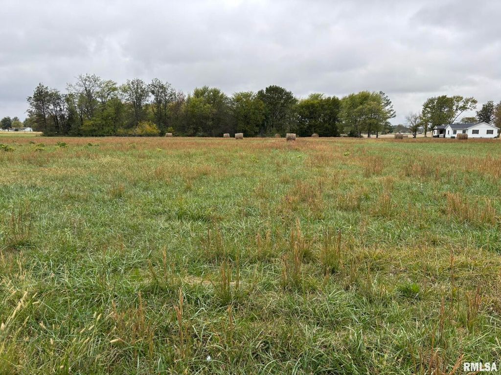 Image 2 of property listing at 1200 Block Roddy Road, Salem, IL 62881