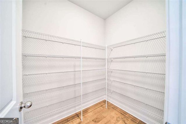 2510 Great Silver Fir Alley, Atlanta, GA 30360