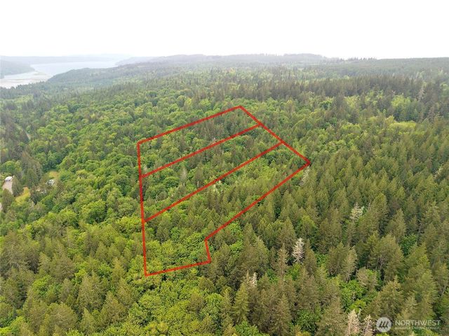431 Taison Lane, Quilcene, WA 98376