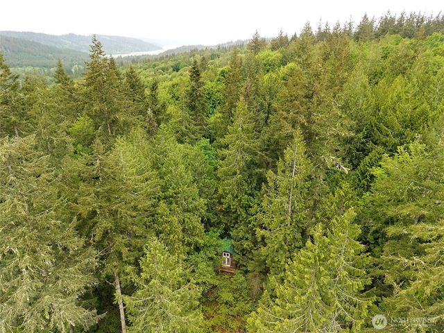431 Taison Lane, Quilcene, WA 98376
