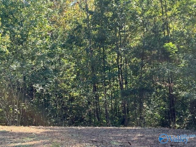 522 Wallace Drive, Hartselle, AL 35640