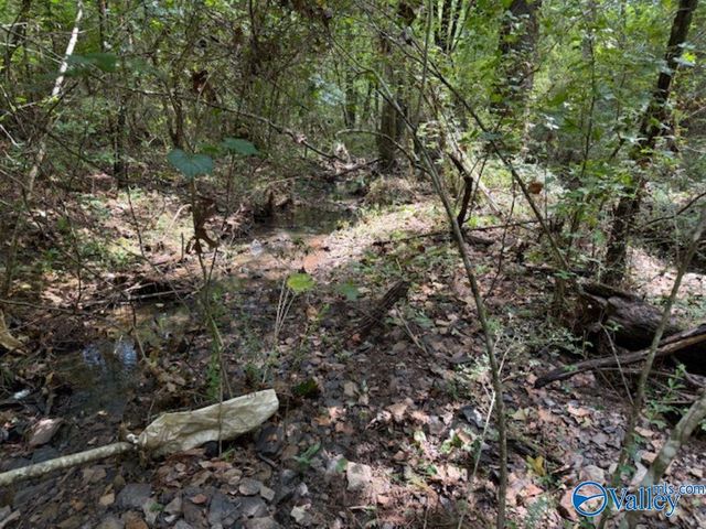 522 Wallace Drive, Hartselle, AL 35640