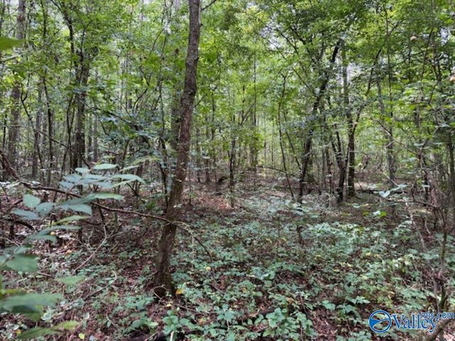 522 Wallace Drive, Hartselle, AL 35640