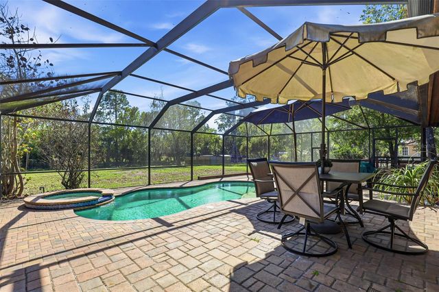 12526 TWIN BRANCH ACRES ROAD, Tampa, FL 33626